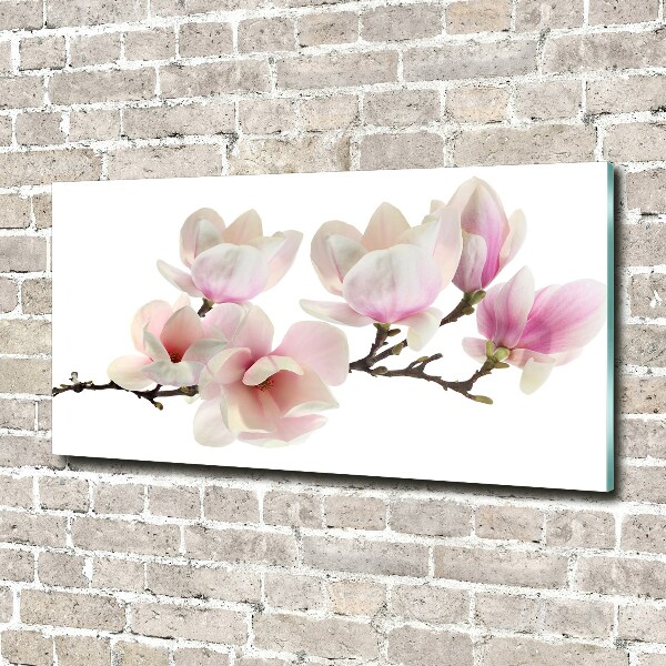 Quadro vetro acrilico Magnolia