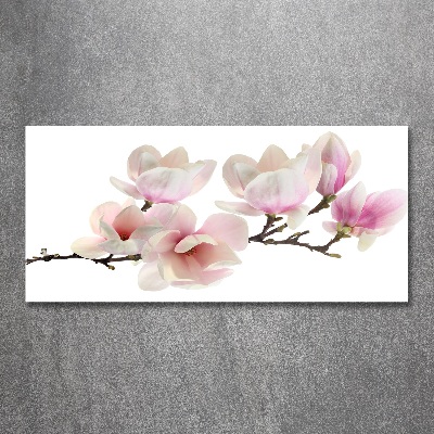 Quadro vetro acrilico Magnolia
