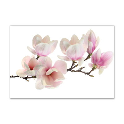 Quadro vetro acrilico Magnolia