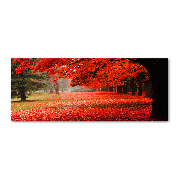 Quadro su vetro acrilico Alberi in autunno