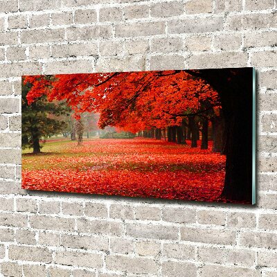 Quadro su vetro acrilico Alberi in autunno