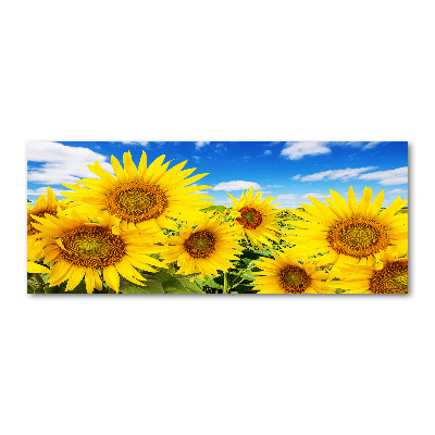 Quadro su vetro acrilico Girasoli
