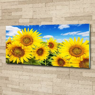 Quadro su vetro acrilico Girasoli