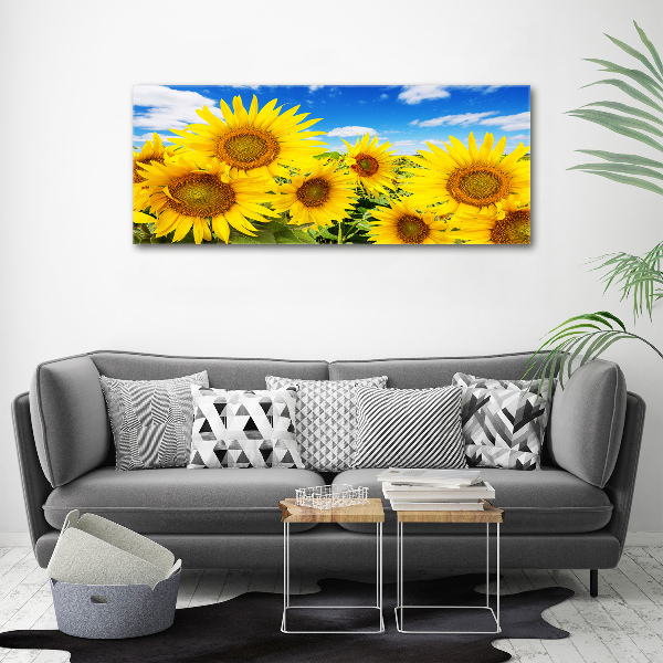 Quadro su vetro acrilico Girasoli
