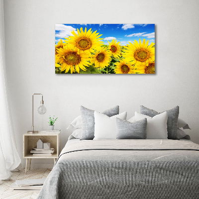Quadro su vetro acrilico Girasoli