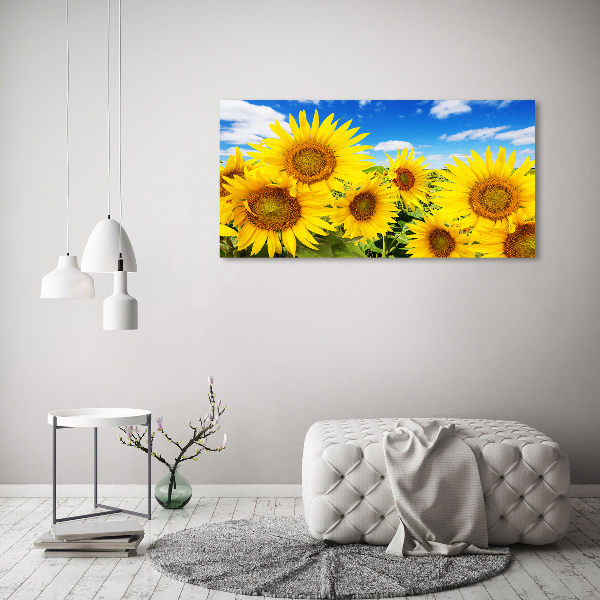 Quadro su vetro acrilico Girasoli