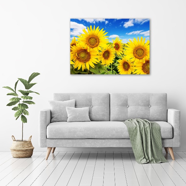 Quadro su vetro acrilico Girasoli