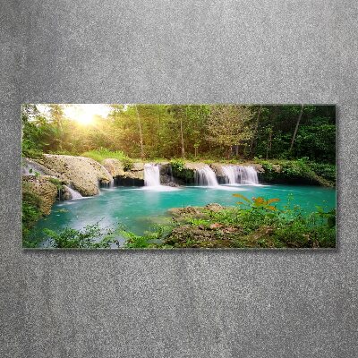 Quadro in vetro acrilico Cascata nella foresta
