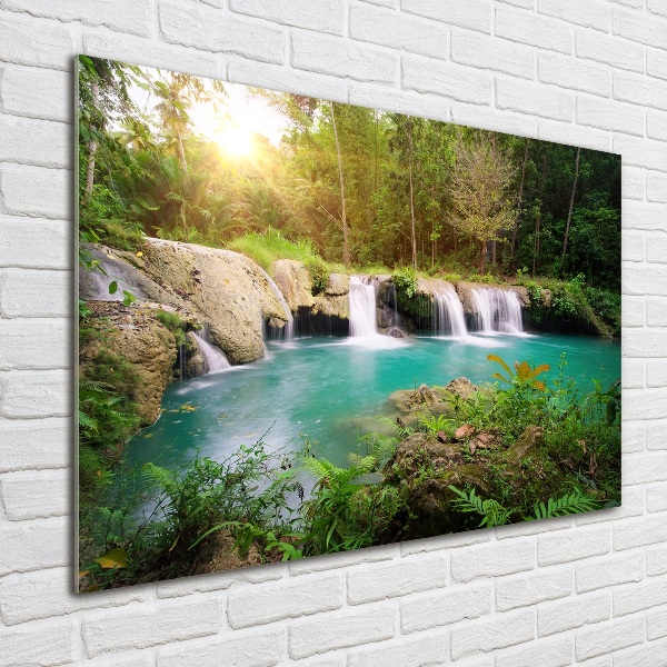 Quadro in vetro acrilico Cascata nella foresta