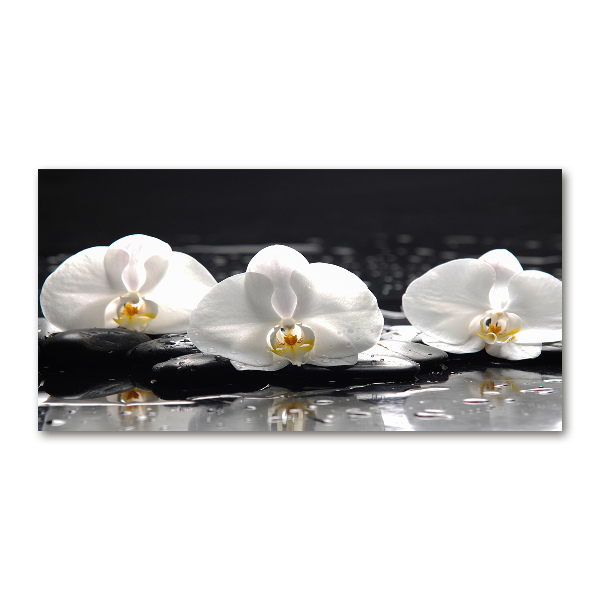 Quadro in vetro acrilico Orchidea
