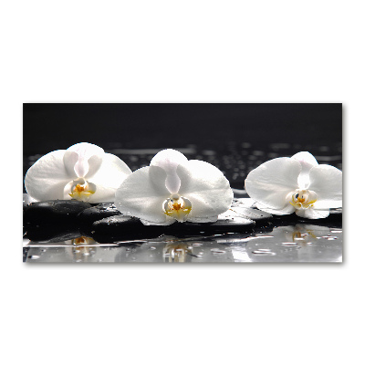 Quadro in vetro acrilico Orchidea