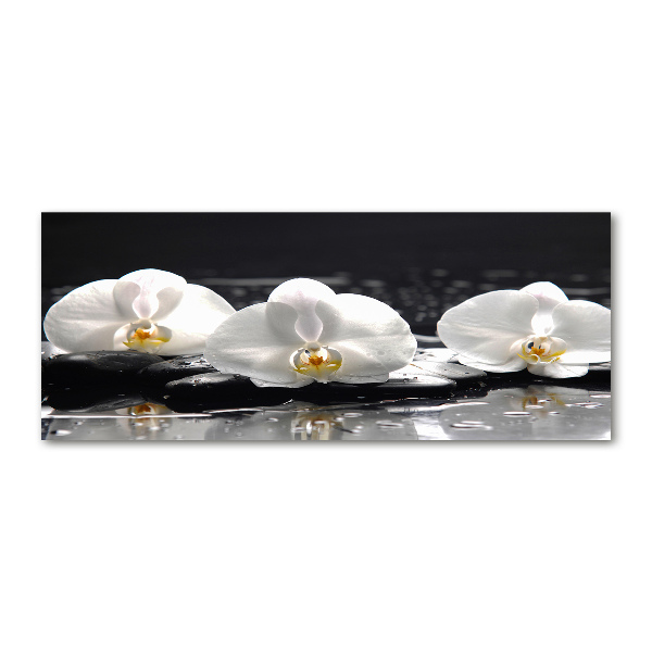 Quadro in vetro acrilico Orchidea
