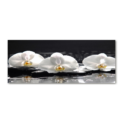 Quadro in vetro acrilico Orchidea