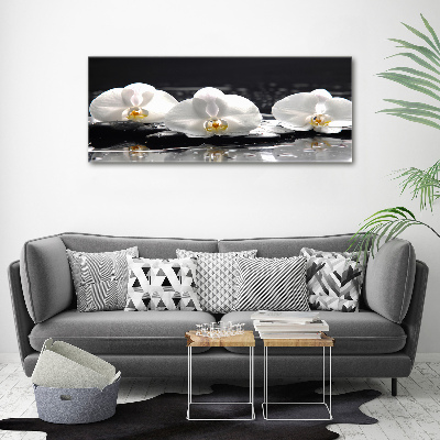 Quadro in vetro acrilico Orchidea