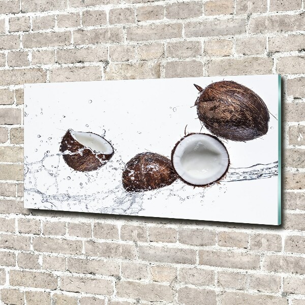Quadro vetro acrilico Cocco con acqua