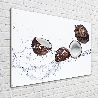 Quadro vetro acrilico Cocco con acqua