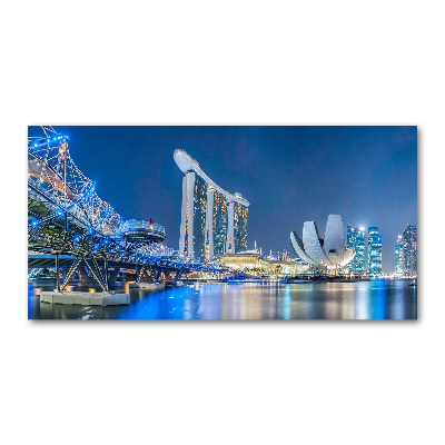 Quadro vetro acrilico Singapore di notte