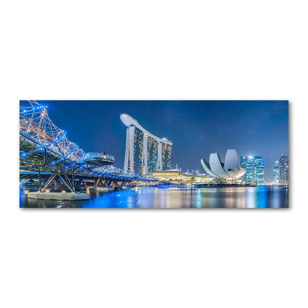 Quadro vetro acrilico Singapore di notte