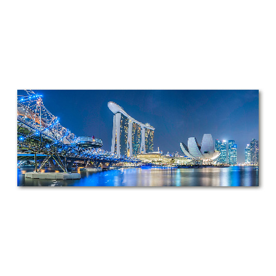 Quadro vetro acrilico Singapore di notte