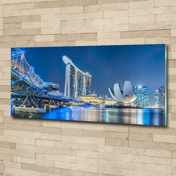 Quadro vetro acrilico Singapore di notte