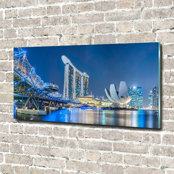 Quadro vetro acrilico Singapore di notte