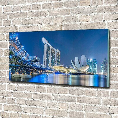 Quadro vetro acrilico Singapore di notte