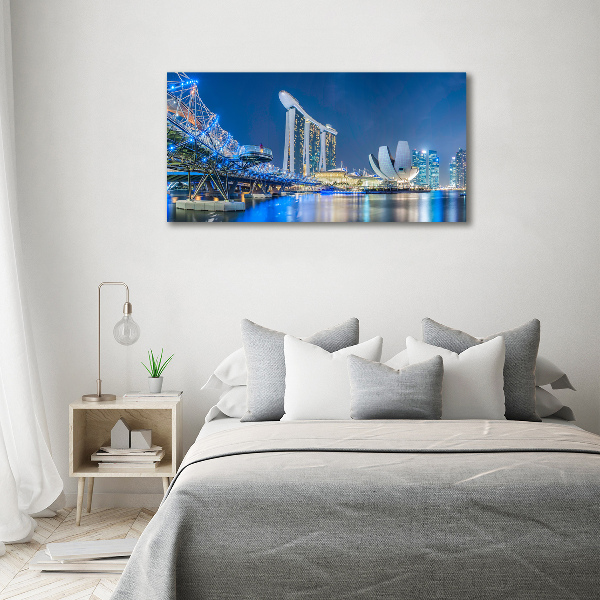 Quadro vetro acrilico Singapore di notte