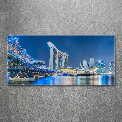 Quadro vetro acrilico Singapore di notte