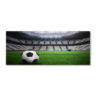 Quadro su vetro acrilico Palla nello stadio