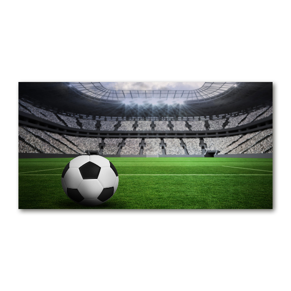 Quadro su vetro acrilico Palla nello stadio