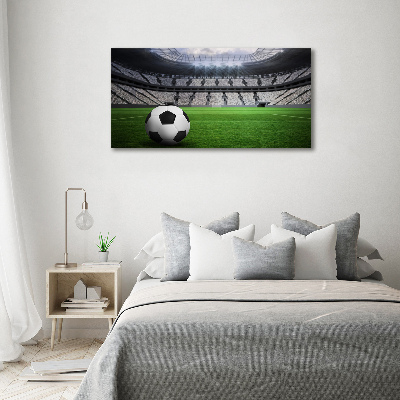 Quadro su vetro acrilico Palla nello stadio