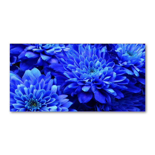 Quadro vetro acrilico Aster blu