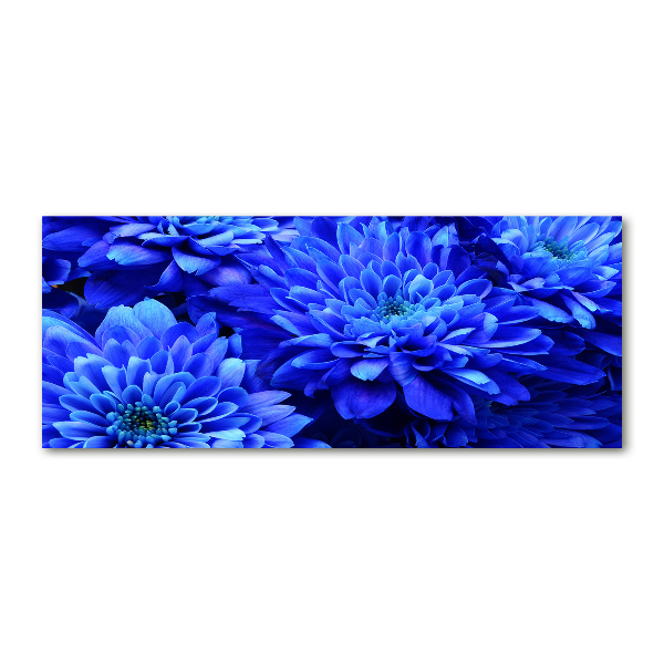 Quadro vetro acrilico Aster blu
