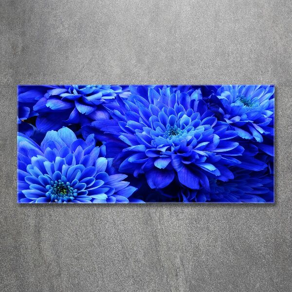 Quadro vetro acrilico Aster blu