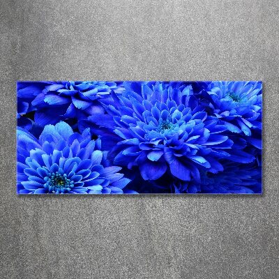 Quadro vetro acrilico Aster blu