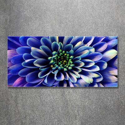 Quadro in vetro acrilico Aster