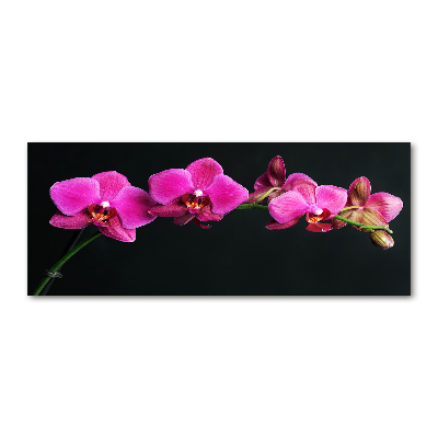 Quadro vetro acrilico Orchidea