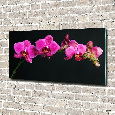 Quadro vetro acrilico Orchidea
