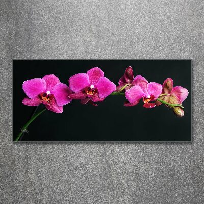 Quadro vetro acrilico Orchidea