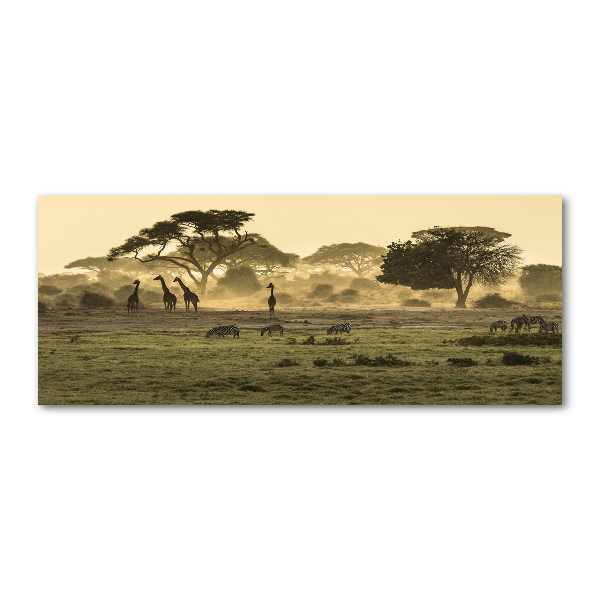 Quadro vetro acrilico Giraffe nella savana