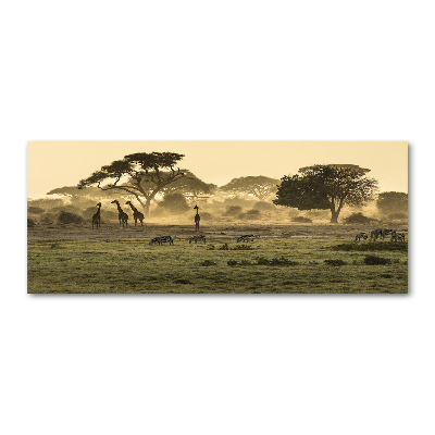Quadro vetro acrilico Giraffe nella savana