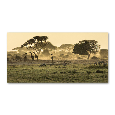 Quadro vetro acrilico Giraffe nella savana