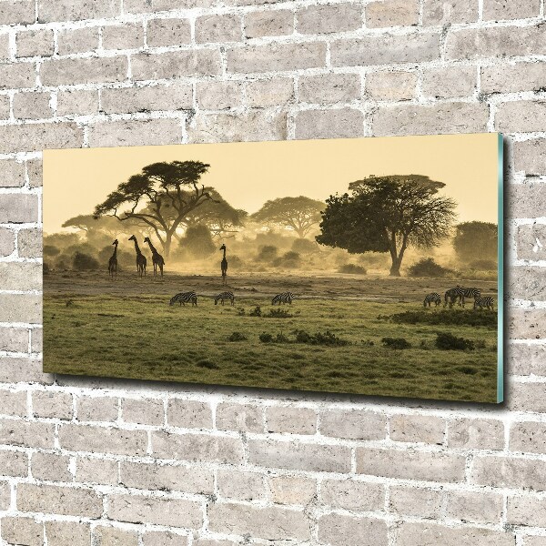 Quadro vetro acrilico Giraffe nella savana