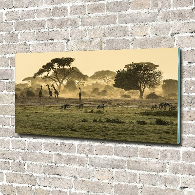 Quadro vetro acrilico Giraffe nella savana