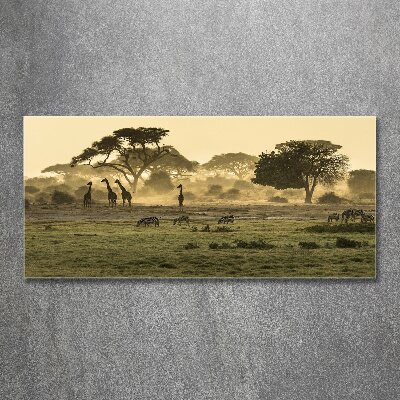 Quadro vetro acrilico Giraffe nella savana