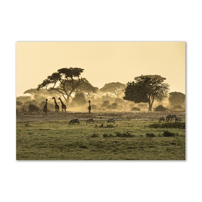 Quadro vetro acrilico Giraffe nella savana