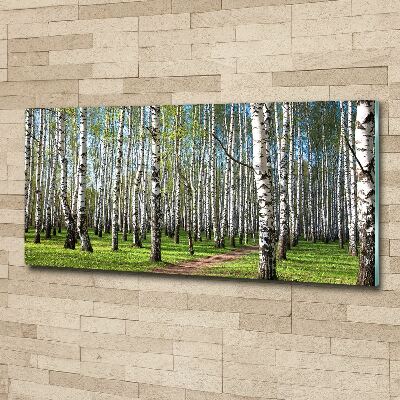 Quadro su vetro acrilico Foresta di betulle