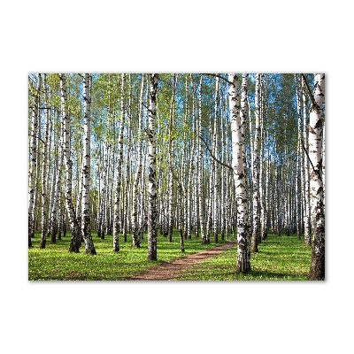 Quadro su vetro acrilico Foresta di betulle