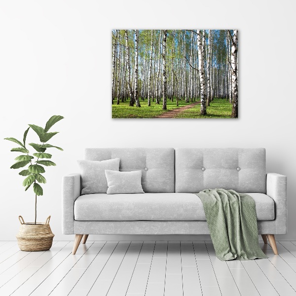 Quadro su vetro acrilico Foresta di betulle