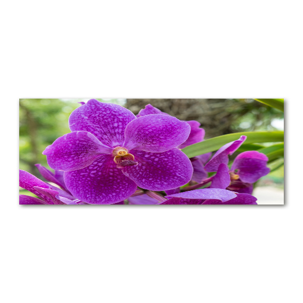 Quadro vetro acrilico Orchidea